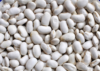 Harvest from dry beans