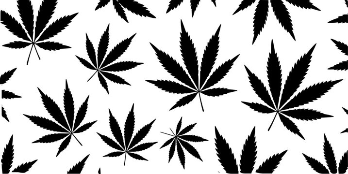 Black Cannabis Leaves Pattern on White Background