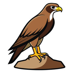 Cartoon illustration of a brown hawk perched on a rock