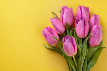 A bright yellow background complements a bouquet of delicate pink tulips