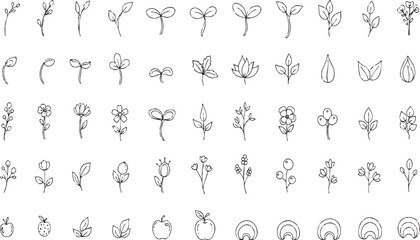 Botanical plant elements collection sprout leaf berry flower doodle set nature line art icons