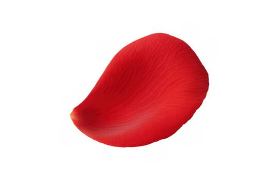 Red rose petal falling, symbolizing love, romance, and delicate beauty on a transparent background