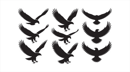 Obraz premium Black raptor silhouettes displaying powerful flight and predatory elegance