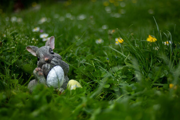 Easter bunny holding easter eggs. sitting in grass. Easter photo