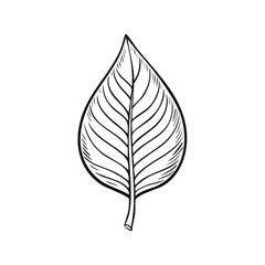 Stylized hand drawn leaf outline with visible veins and stem