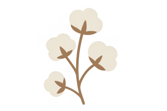 Cotton plant branch with fluffy bolls, a natural fiber illustration, transparent background - Powered by Adobe