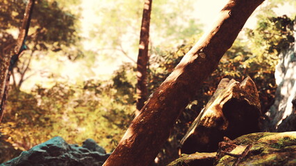 Sunlight streams between lush green leaves, casting dappled shadows on mossy rocks. A sturdy tree trunk leans gracefully over the serene landscape, creating an inviting atmosphere.
