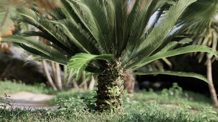 A beautiful palm tree with vibrant green fronds dominates the landscape. Sunlight filters through, creating a peaceful atmosphere in this tropical oasis.