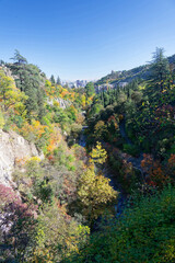 Autumn landscape in National Botanical Garden of Georgia.