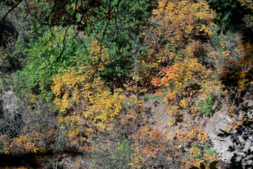 Autumn landscape in National Botanical Garden of Georgia.