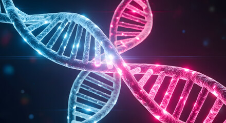 Abstract representation of intertwined dna double helix strands glowing with blue and pink light against a dark background
