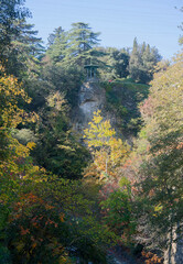 Autumn landscape in National Botanical Garden of Georgia.