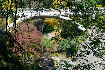 Autumn landscape in National Botanical Garden of Georgia.
