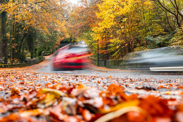 Red car speeding on autumn road with motion blur