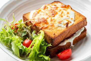 A delicious, golden-brown croque monsieur sandwich, topped with melted cheese and served with a fresh side salad of mixed greens and cherry tomatoes on a white plate.