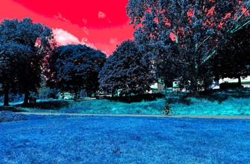 Along Winding Path Vibrant Blue