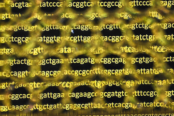 In a modern biological laboratory.