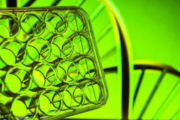 In a modern biological laboratory.