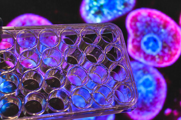 In a modern biological laboratory.