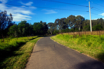 A Path Through the Trees