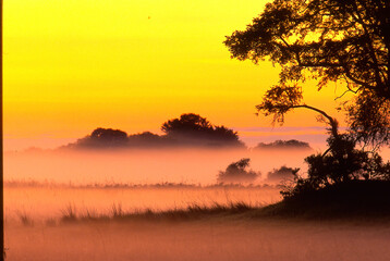 Fototapeta premium early morning fog above the landscape 670