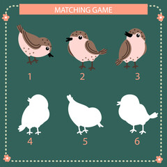 Educational matching game with birds