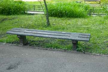 Simple park bench near an asphalt path, green grass and a small tree nearby, another path with wrought iron fences and benches in the background.