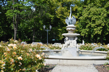 Fountain Among Blooming Roses. A decorative stone fountain with sculpted cherub-like figures pours clear streams of water into a circular basin, surrounded by blooming roses and greenery