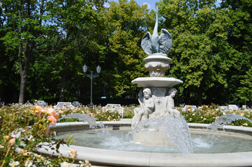 Fountain Among Blooming Roses. A decorative stone fountain with sculpted cherub-like figures pours clear streams of water into a circular basin, surrounded by blooming roses and greenery