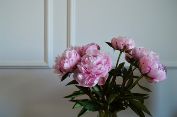 Pink Peonies in a Glass Vase Against White Wall. A bouquet of lush pink peonies with green leaves is arranged in a transparent glass vase set against a classic white wall with molding