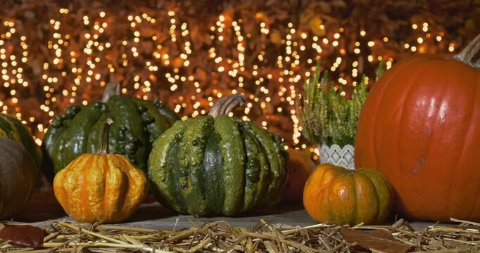 Thanksgiving &ndash; Assorted Pumpkins on Weathered Wooden Boards with Beautiful Lights (Right-to-Left Tracking Shot)