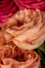 beautiful red and orange roses in drops of water in a large bouquet lying on top of each other, several wet red and orange roses for arranging bouquets