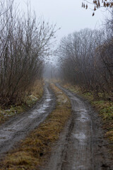 a rural country road in cloudy weather, a road for cars along shrubs and trees without foliage against a gray cloudy sky, a depressing landscape