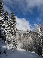Bijele stijene, reservation in Croatia, winter landscape