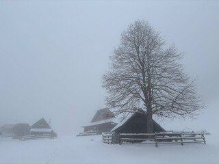 Velika planina in Slovenia, winter landscape