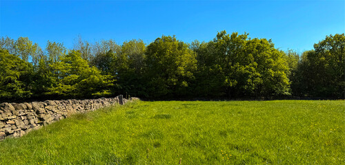 A lush green field bordered by a stone wall stretches under a clear blue sky. Tall trees frame the scene, creating a serene countryside landscape in Allerton, Bradford, UK