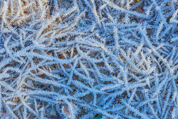 Grass covered in frosty ice crystals. Winter close-up background