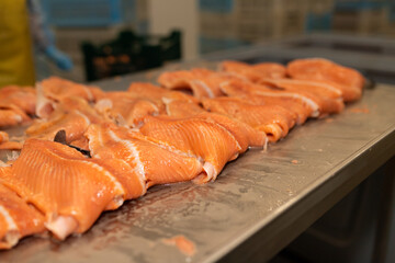 Rows of fresh salmon fillets laid out on a stainless-steel processing table at a seafood facility. The bright orange color highlights the freshness and quality of the fish.