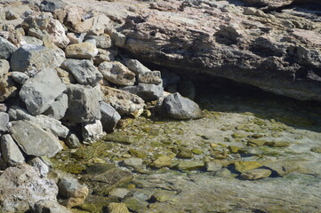 Close-up of rocky shore with clear tidal pool and pebbles under bright sunlight, peaceful coastal nature, copy space
