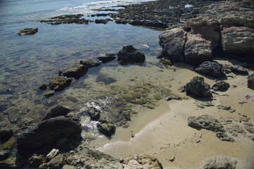 Close-up view of rocky shore with clear tidal pools and sparkling sand under bright sunlight, tranquil coastal landscape, copy space