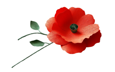 Red paper poppy craft with green stem showing a handmade floral decoration with delicate artistic detail isolated on transparent background PNG