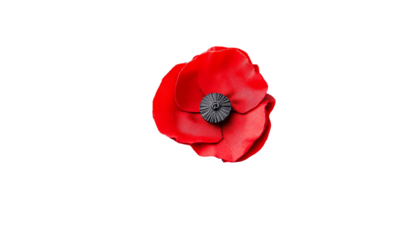 Red poppy attached to a lapel on a formal black coat creating a classic and elegant memorial symbol isolated on transparent background PNG