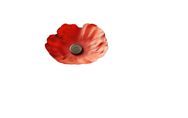 Memorial scene showing a red poppy placed on a military document symbolizing respect and remembrance isolated on transparent background PNG