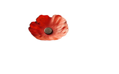 Memorial scene showing a red poppy placed on a military document symbolizing respect and remembrance isolated on transparent background PNG