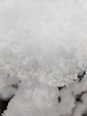 pure white snow. wonderful winter photo
