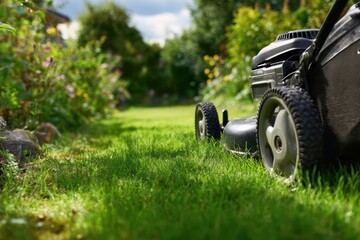 Fototapeta premium Lawn Mower Cutting Lush Green Grass in Backyard