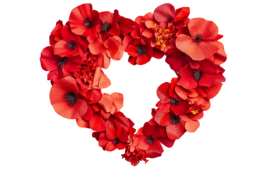 Handmade heart shaped wreath of red poppies showcasing delicate petals and creative botanical craftsmanship isolated on transparent background PNG
