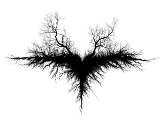 PNG of A striking black silhouette of a tree resembling a bird in flight, blending nature's beauty with artistic expression.