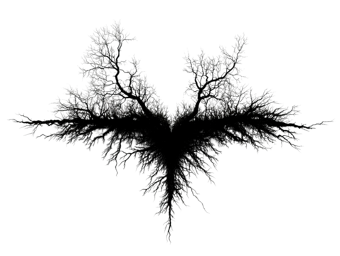 PNG of A striking black silhouette of a tree resembling a bird in flight, blending nature's beauty with artistic expression.