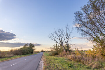 Fototapeta premium Road with a tree in the middle of it